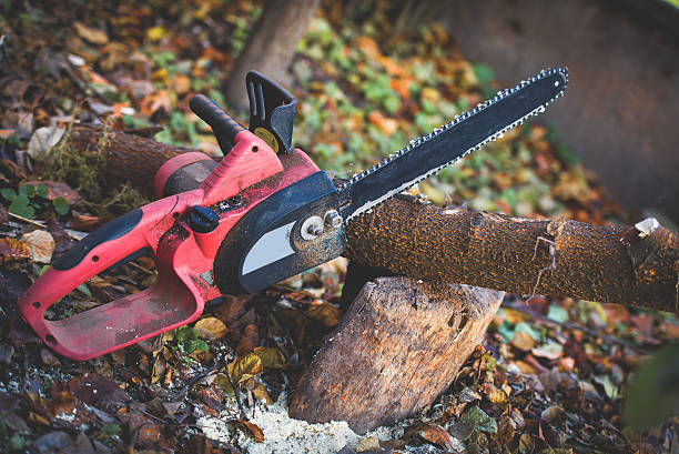 Best Utility Line Clearance  in Boronda, CA
